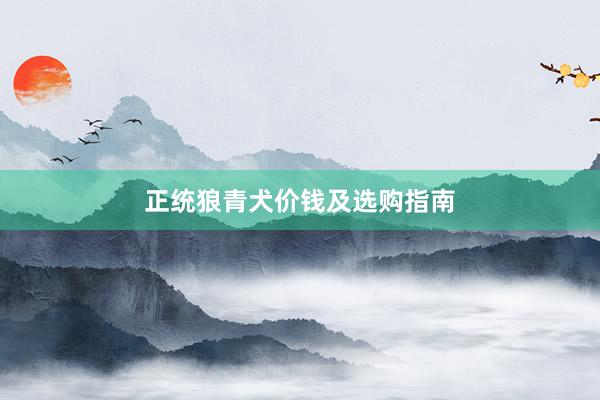 正统狼青犬价钱及选购指南