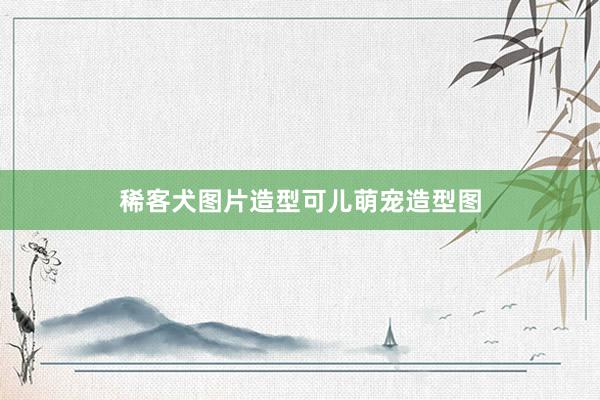 稀客犬图片造型可儿萌宠造型图